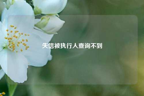 失信被执行人查询不到